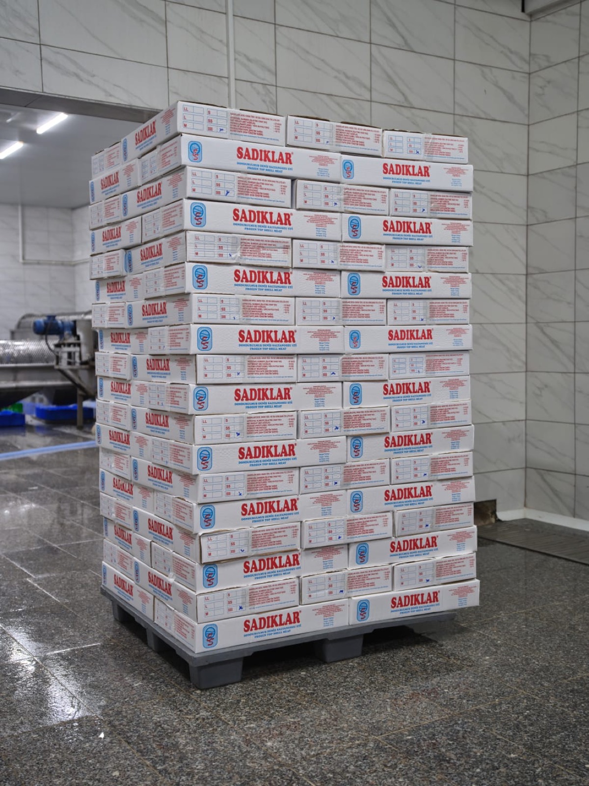 SADIKLAR sevkiyat kolileri